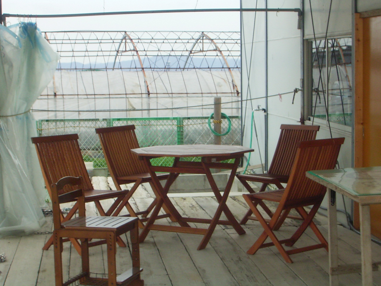 ��˰�͂������H