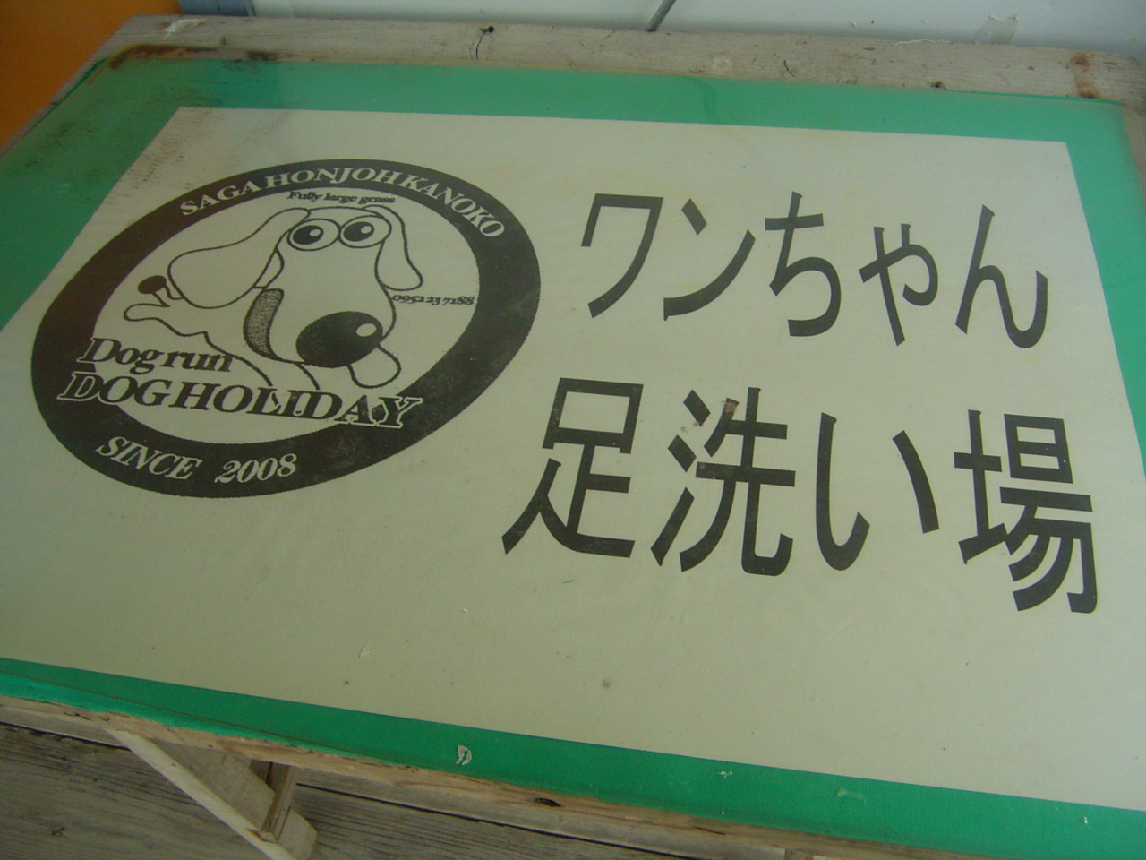 ���傳����y����