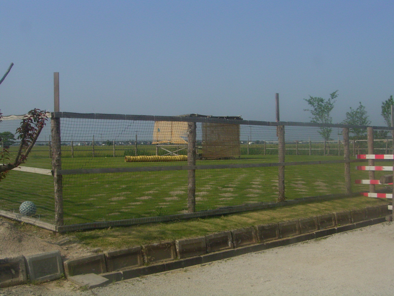 �~�͕����΂n�j�I