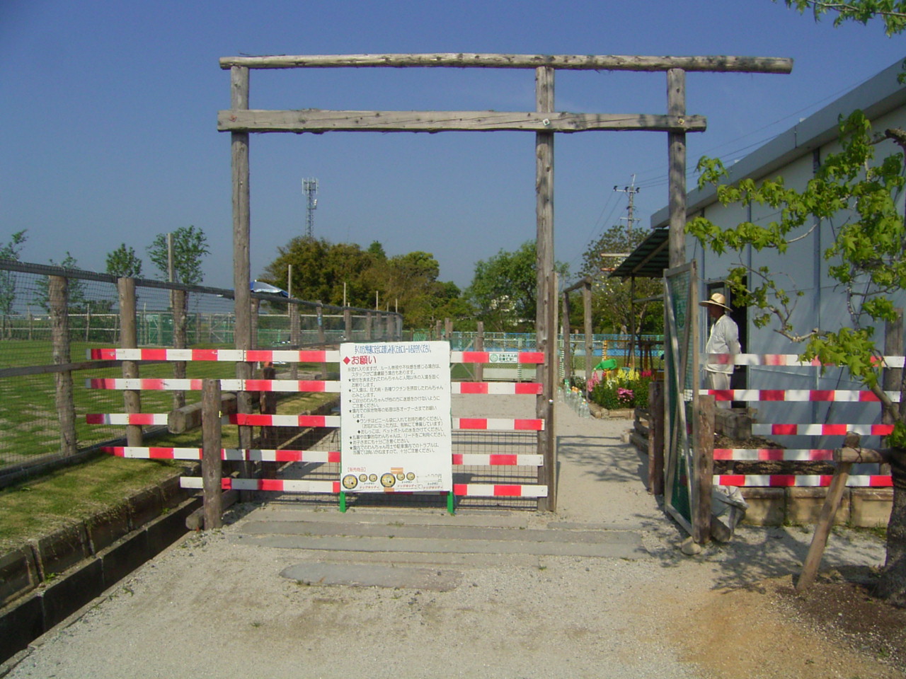 ���芴���ӂ������