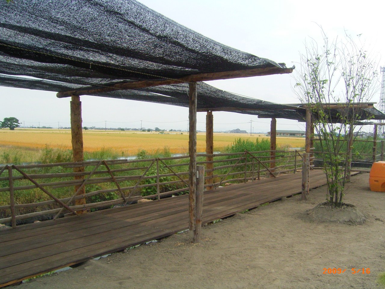 �ފƂ��炵�Ēނ�ł��E�E�E