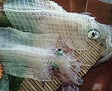 �����Â���