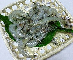 ���΂���