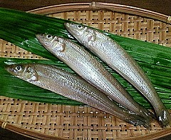 ���났���i�����j