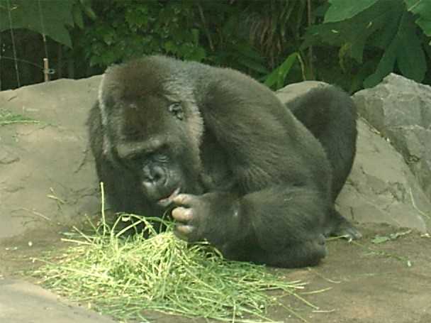 �S��������