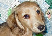 ���Y�B�܂��܂������e������B