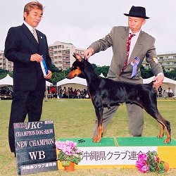 �A���F���ꌧ�N���u�A����`�����s�I��