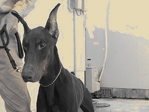 �L���b�V���B������Ƃ����܂����B