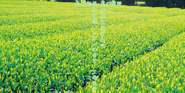 ����X���E���̊֏� �����Ɉ͂܂ꂽ�厩�R�����ς��̒��ŁE�H�ꌩ�w