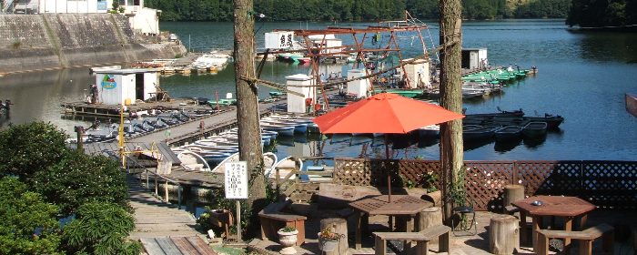 �V���̗l�q